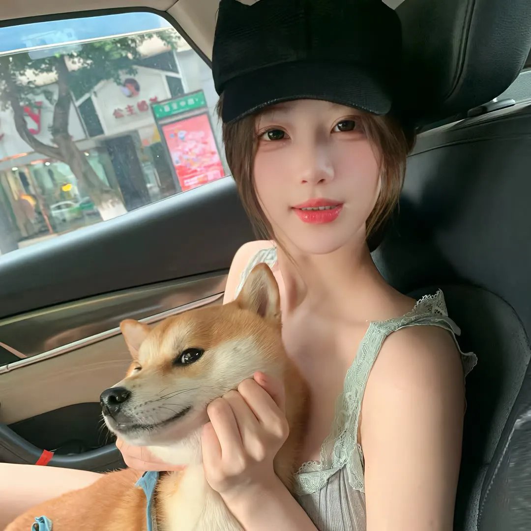天才宝弟的狗日子
